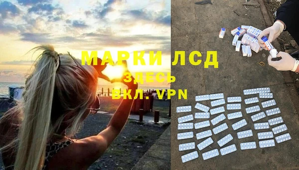 шишки Алзамай