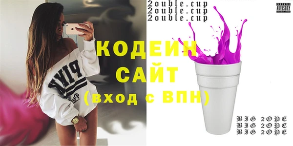 шишки Алзамай