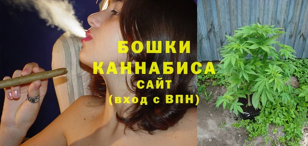 шишки Алзамай