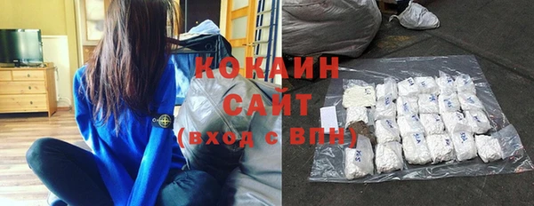 шишки Алзамай