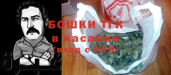 ГАЛЛЮЦИНОГЕННЫЕ ГРИБЫ Абаза